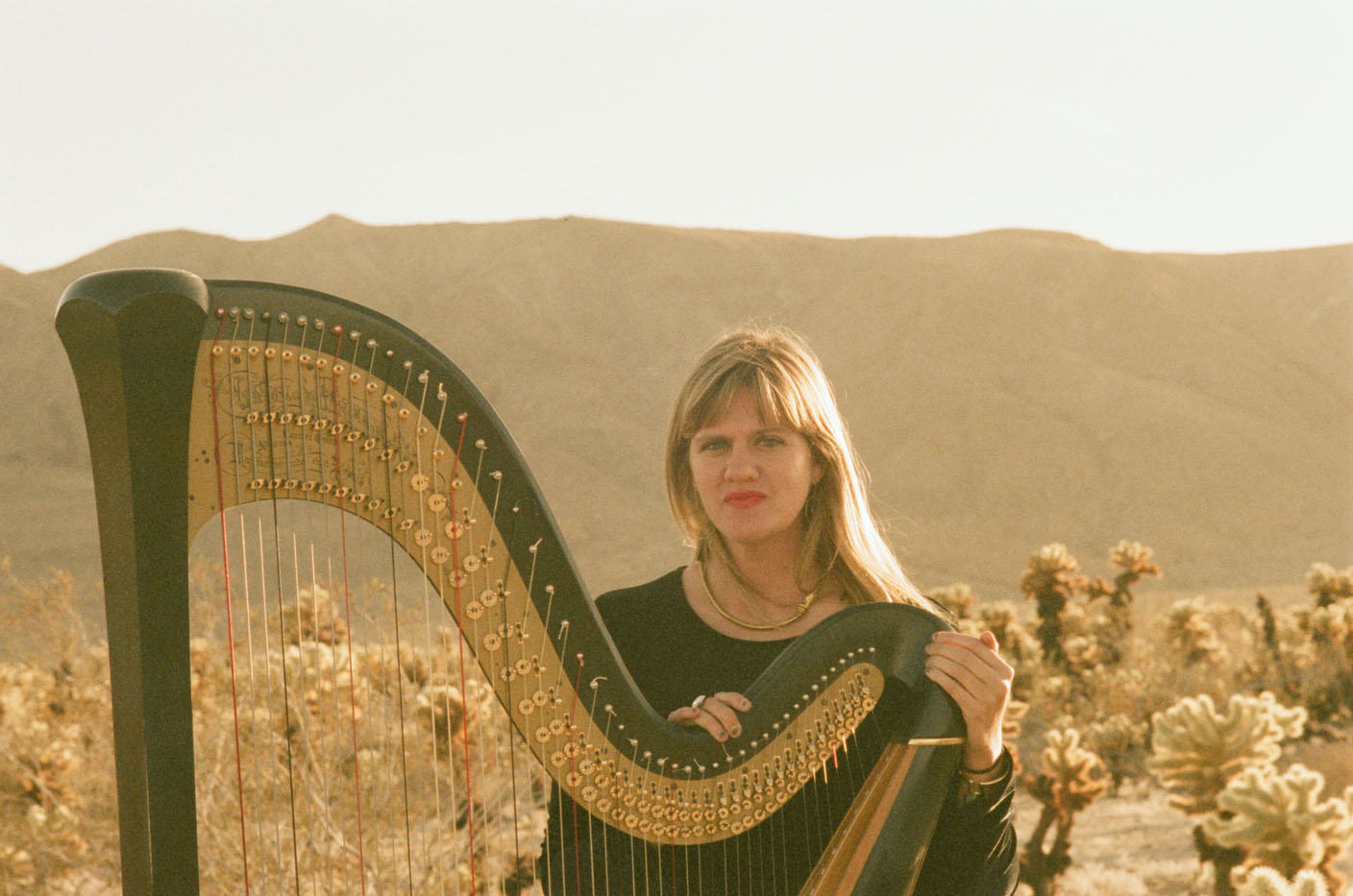 Wonderfully Weird: Experimental harpist not confined by genre - Vimarsana News