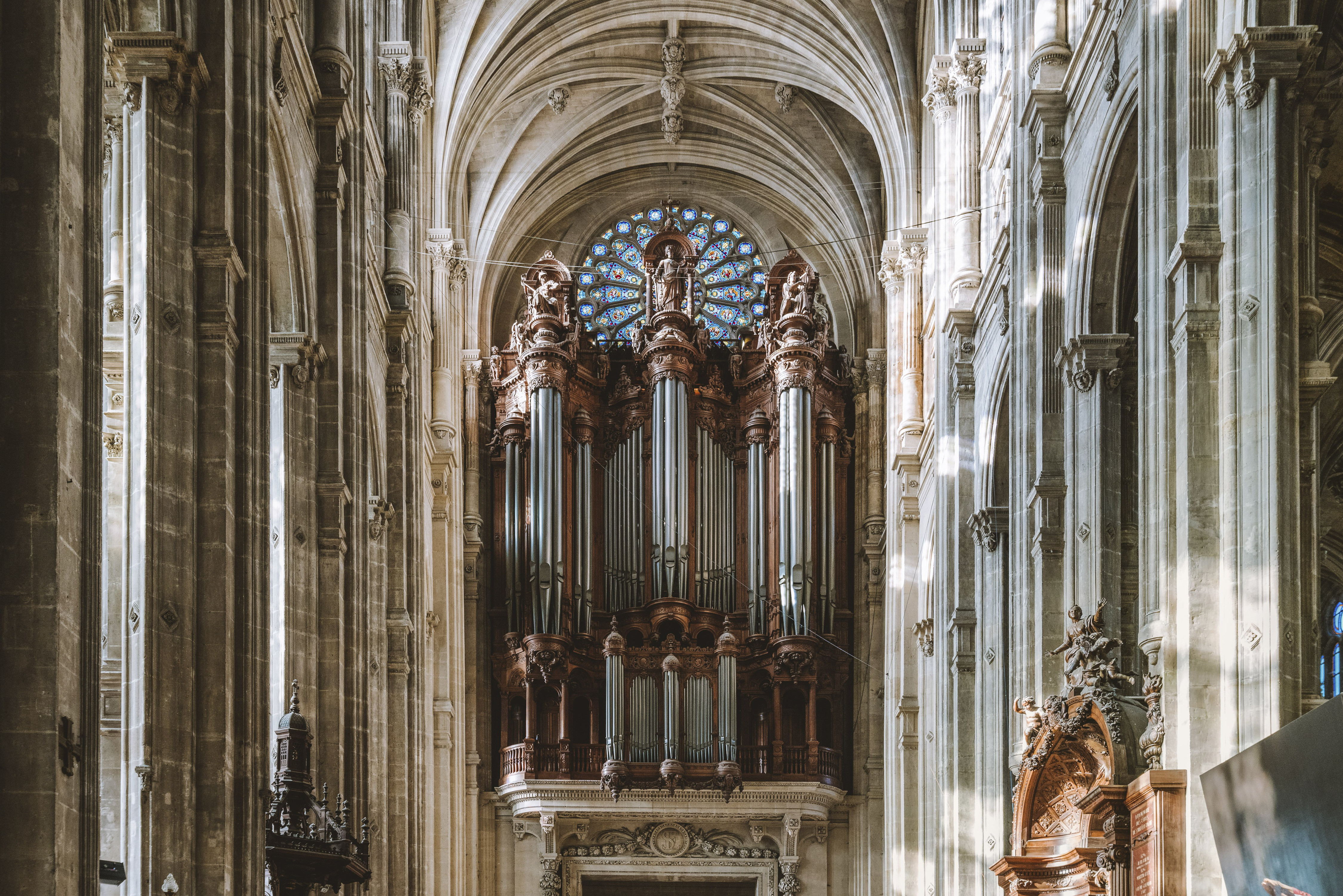 Discovering the musical spirit of Notre Dame - Vimarsana News