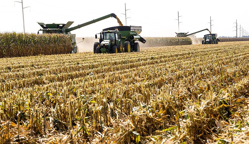 Early corn harvesting is shown at the Dow Brantley farm in Lonoke County Aug. 19, 2020. Arkansas farmers averaged 183 bushels per acre in the 2021 corn crop harvest. The state average record corn yield was 187 bushles per acre in 2014. (Special to The Commercial/Fred Miller, University of Arkansas System Division of Agriculture)