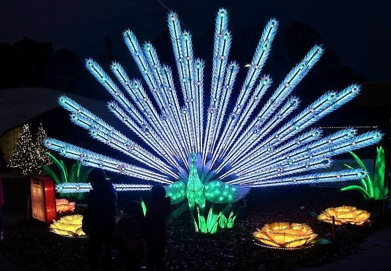 A lighted bird spreads its feathers near the entrance to GloWild. (Special to the Democrat-Gazette/Marcia Schnedler)