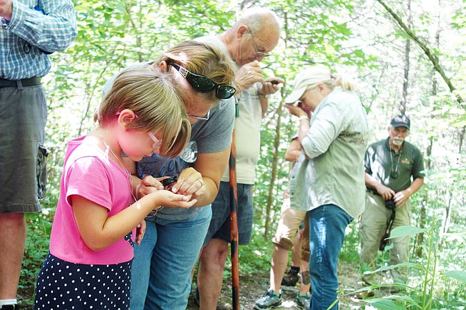 (News Tribune file) Participants in a 2017 guided hike at Graham Cave State Park examine their fungal finds. On Jan. 1, locals can take part through First Day Hikes in guided hikes across state parks.