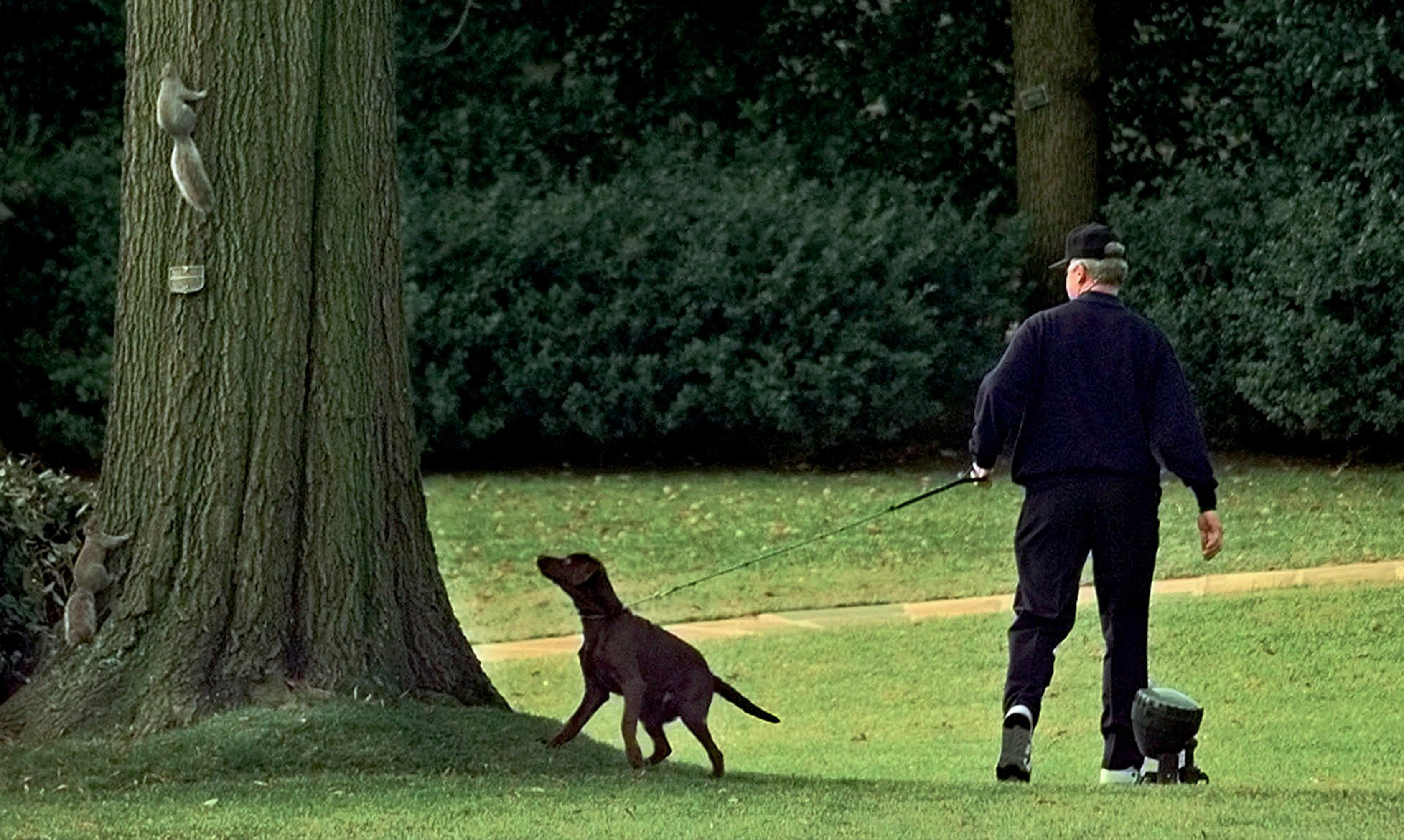 Remember when, Arkansas? Buddy the dog joined Clinton White House when he was just a pup - Vimarsana News