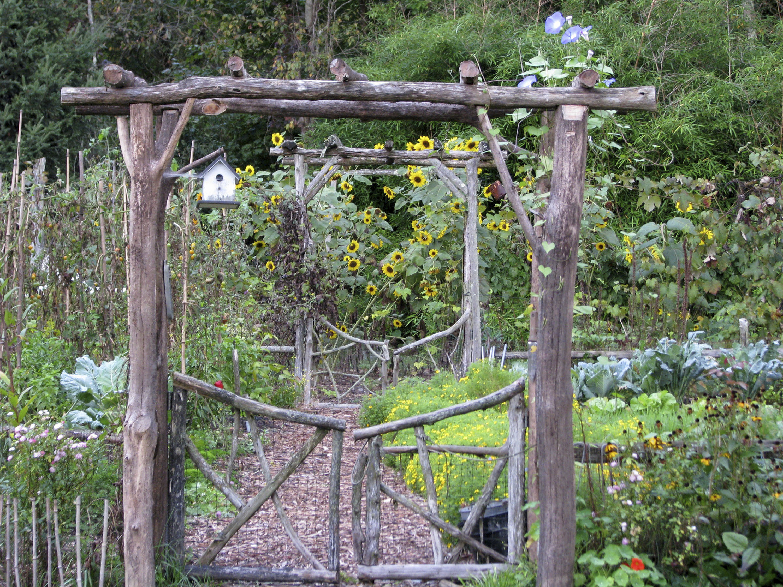 Gardening recommendations from a parting expert 1 photo