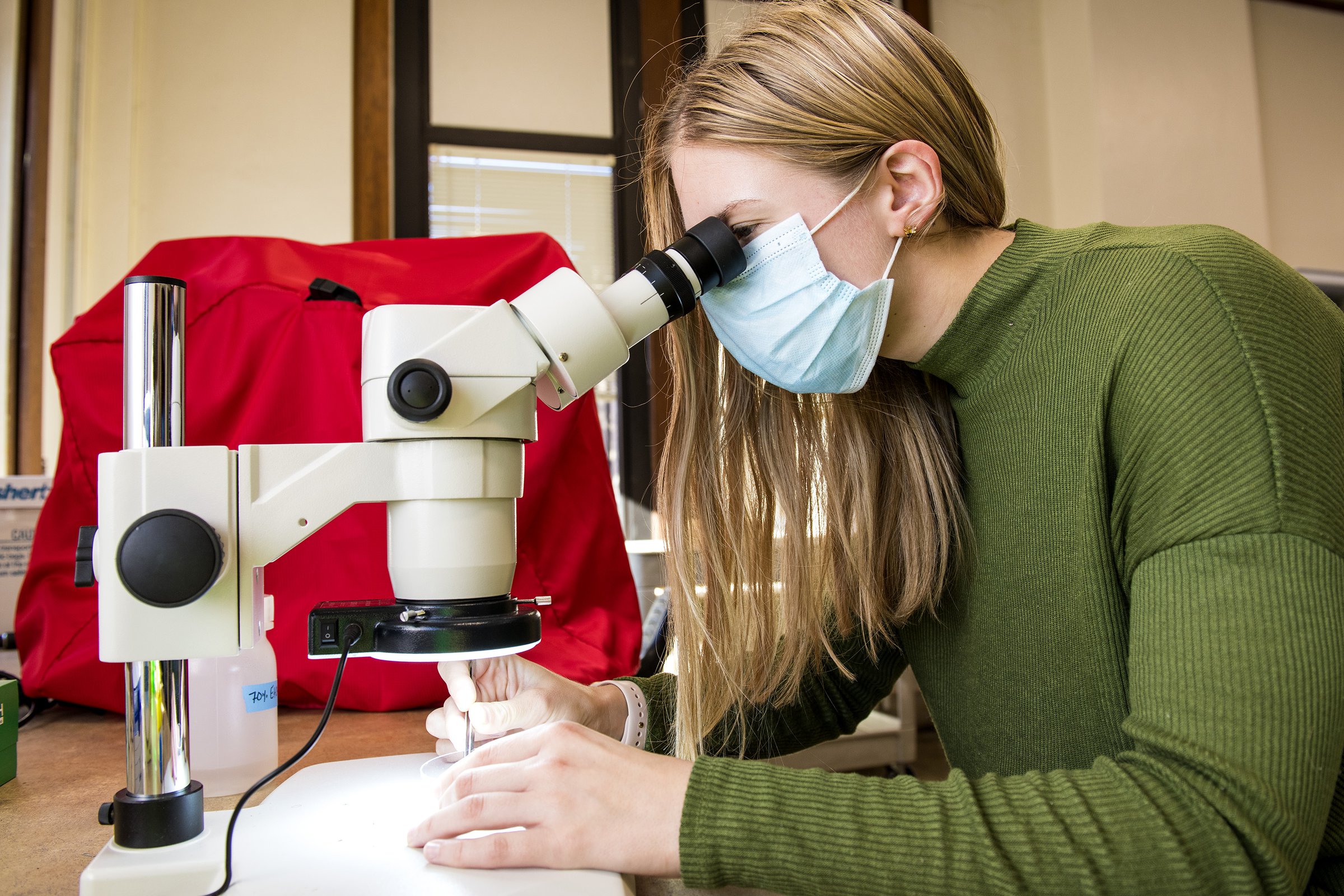 Study listens into the buzz of mosquitoes