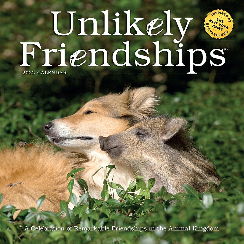 This image provided by Workman Publishing shows the Unlikely Friendships calendar. There are a variety of beautiful and creative calendars on tap to mark the months or weeks of 2022 with photos, artwork, quotes, cartoons, puzzles and more. (Workman Publishing via AP)