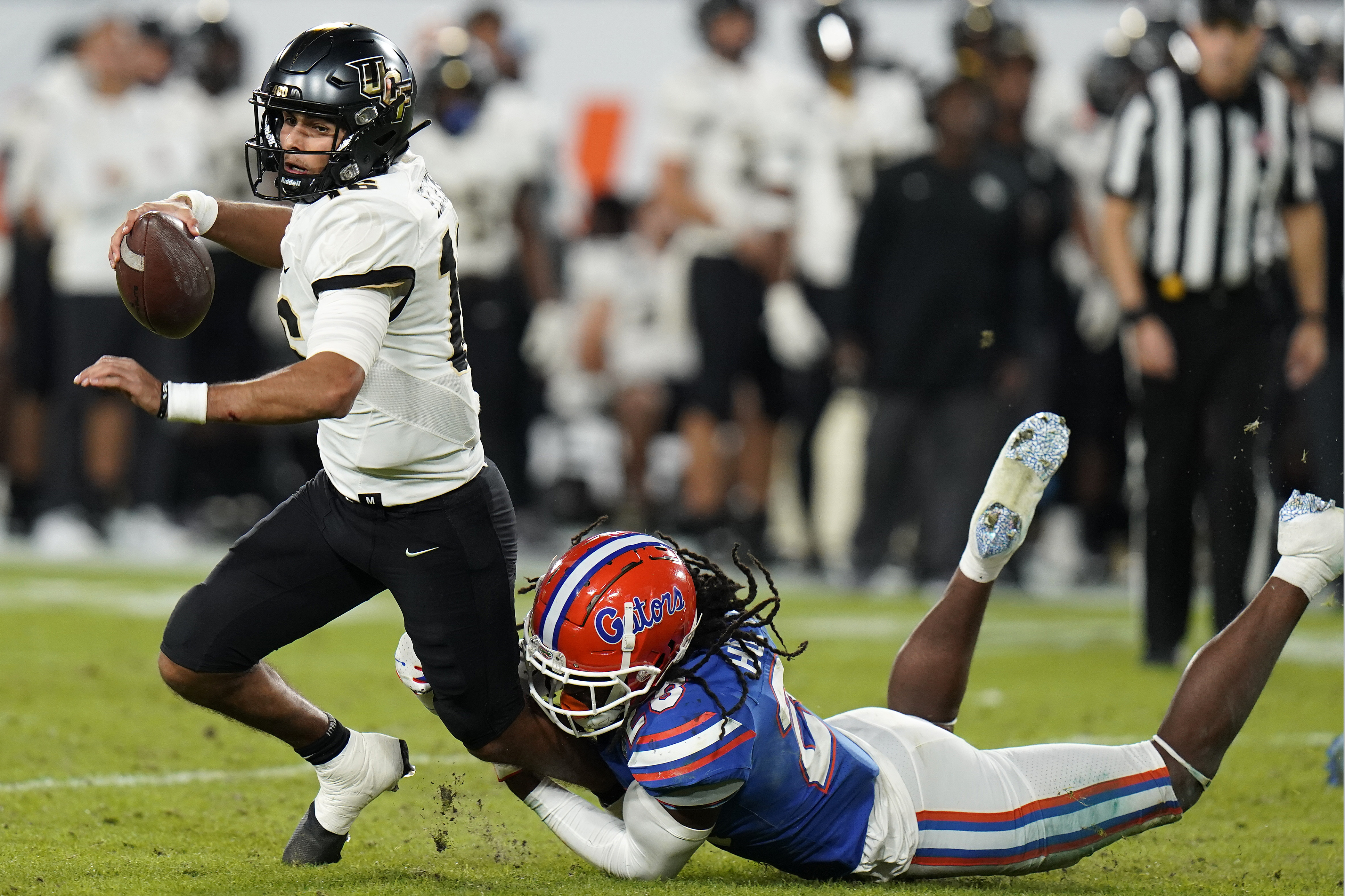 Knights shine in collecting decisive victory over Gators - Vimarsana News