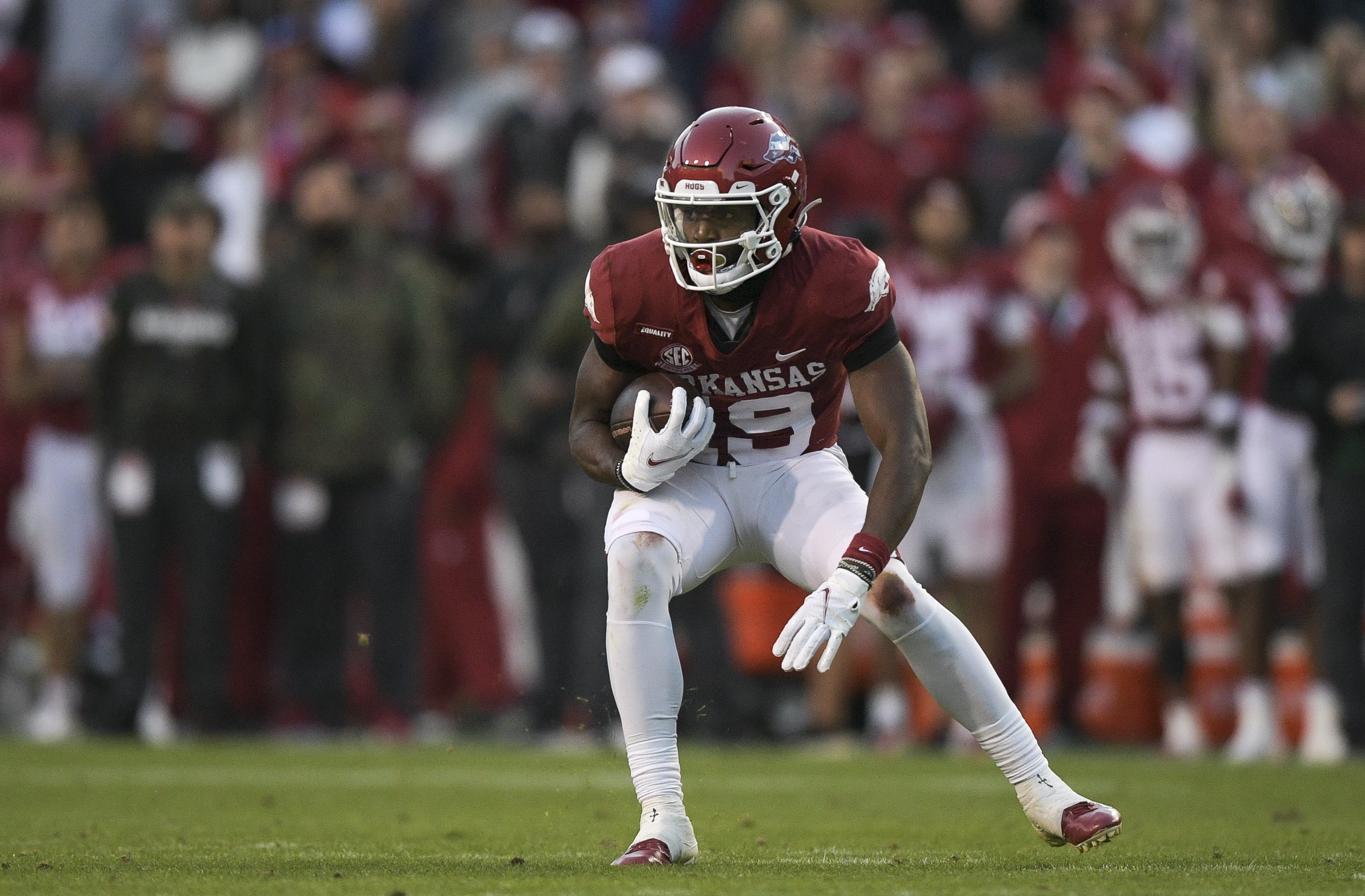 Hogs start site prep without 2 - Vimarsana News