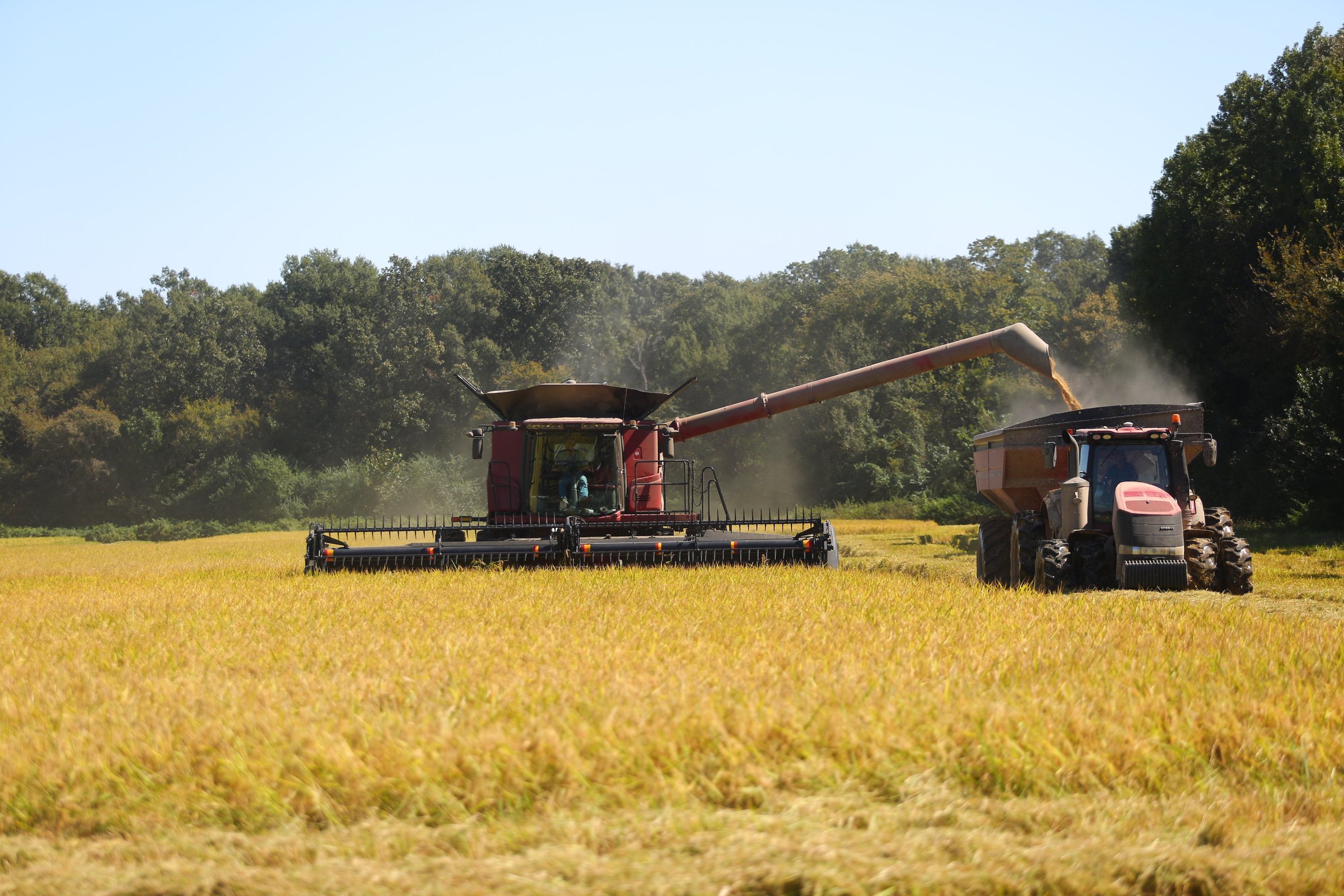 ’21 rice harvest zeros in on mark