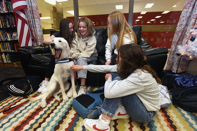 Therapy dog Murphy gets plenty of attention on Dec. 7 2021 in the library at Washington Junior High School in Bentonville.
(NWA Democrat-Gazette/Flip Putthoff)