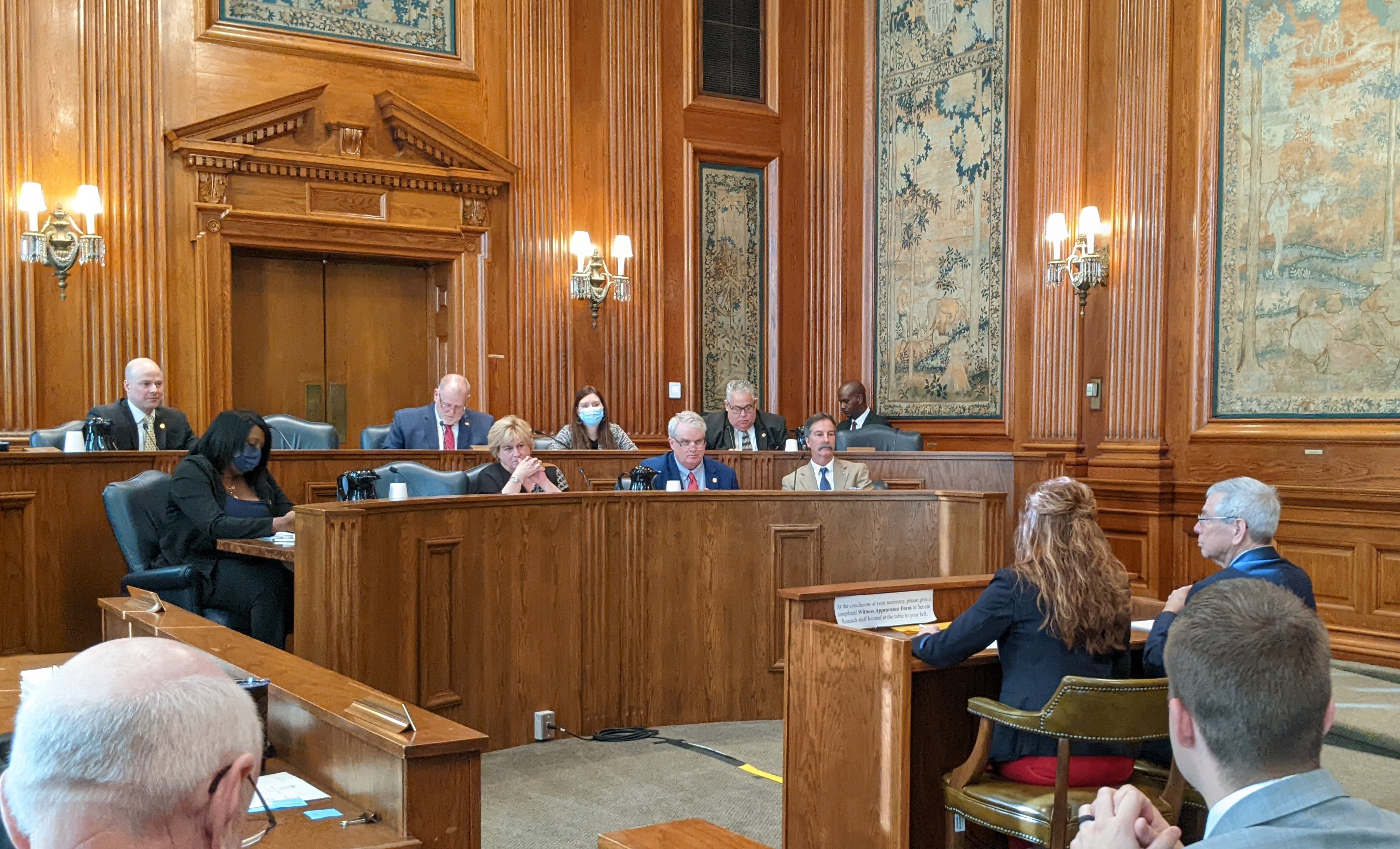 Senate committee approves 13 of governor's appointments - Vimarsana News