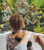 photo thumbnail