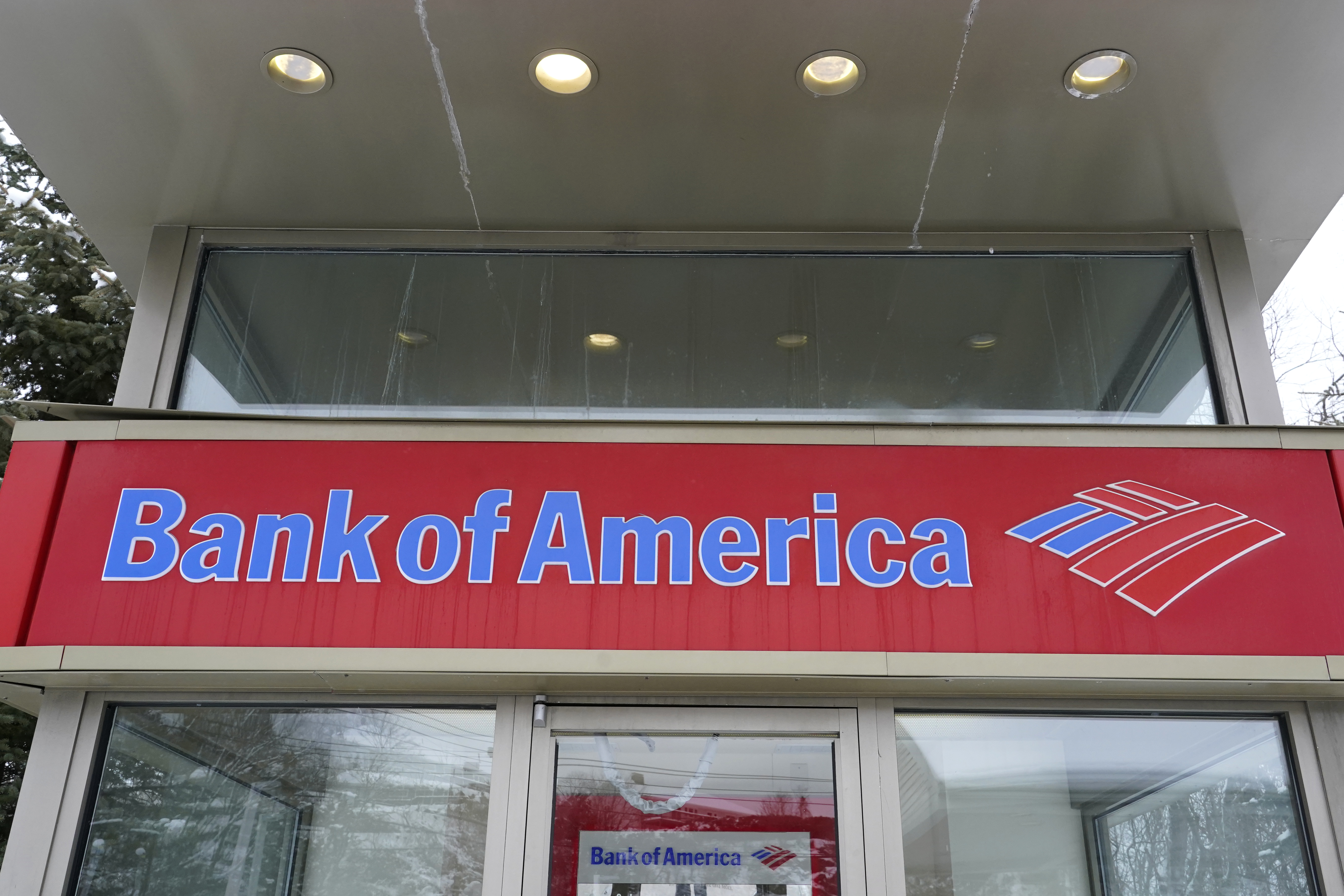 Bank of America to cut overdraft fees - Vimarsana News
