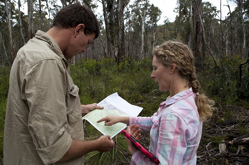 Researcher James Skewes and ecologist Karen Marsh examine a map of potential koala locations. MUST CREDIT: Washington Post photo by Michael E. Miller.