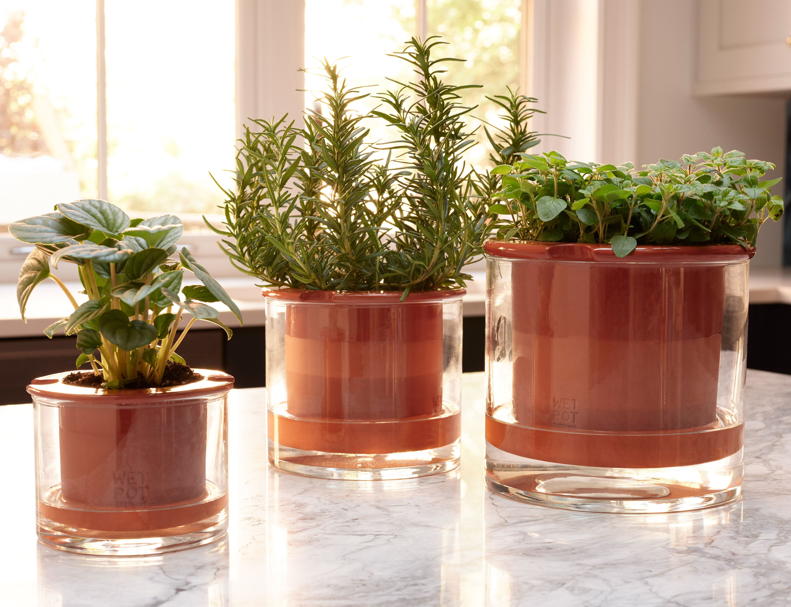 Pots and perches to show off your houseplants in style