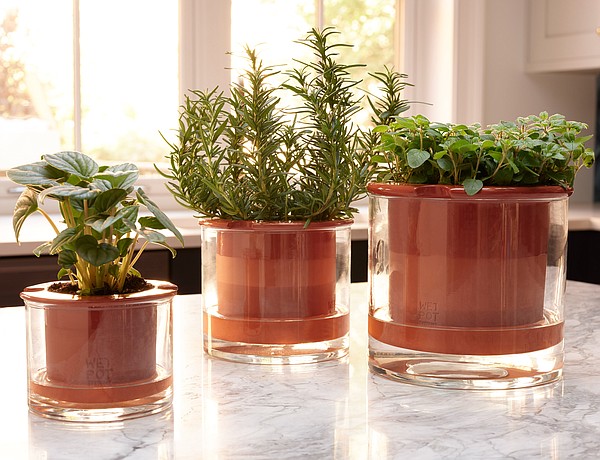 Pots and perches to show off your houseplants in style - Vimarsana News
