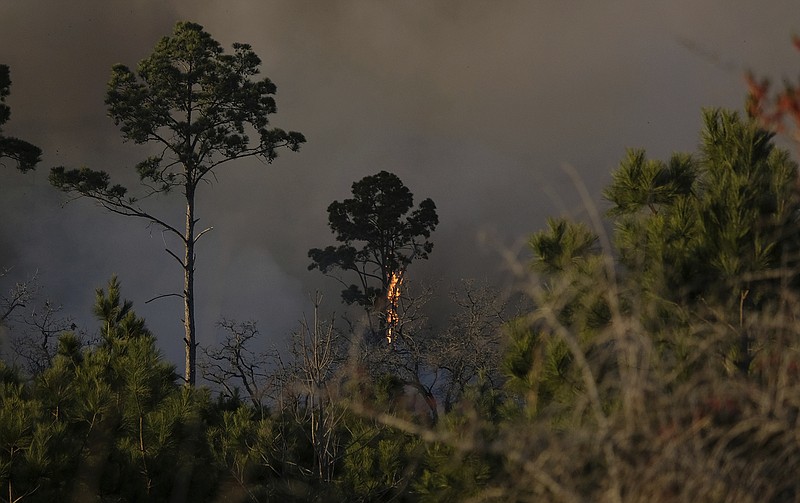 Texas Wildfire Forces Evacuations Planned Burn May Be Cause 3137