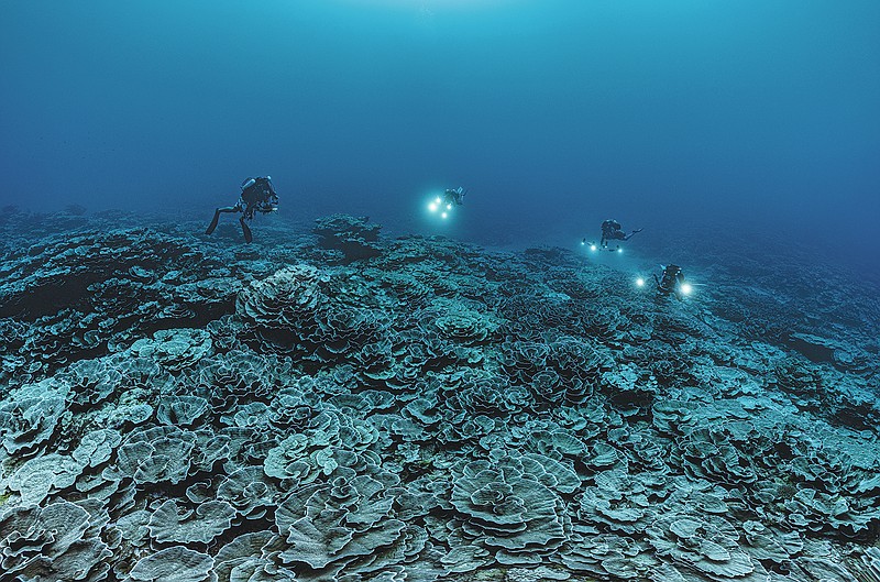 In this photo provided by @alexis.rosenfeld, researchers for the French National Centre for Scientific Research study corals in the waters off the coast of Tahiti of the French Polynesia in December 2021. Deep in the South Pacific, scientists have explored a rare stretch of pristine corals shaped like roses off the coast of Tahiti. The reef is thought to be one of the largest found at such depths and seems untouched by climate change or human activities. (Alexis Rosenfeld/@alexis.rosenfeld via AP)