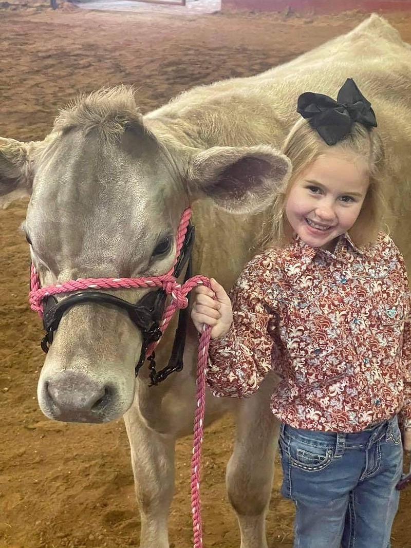 Isabel Telano is seen participating in a livestock show at the North Louisiana Ag Expo, which was held Jan. 14 and 15 in West Monroe. A group of Union County 4-H members traveled to compete in the event. (Contributed)