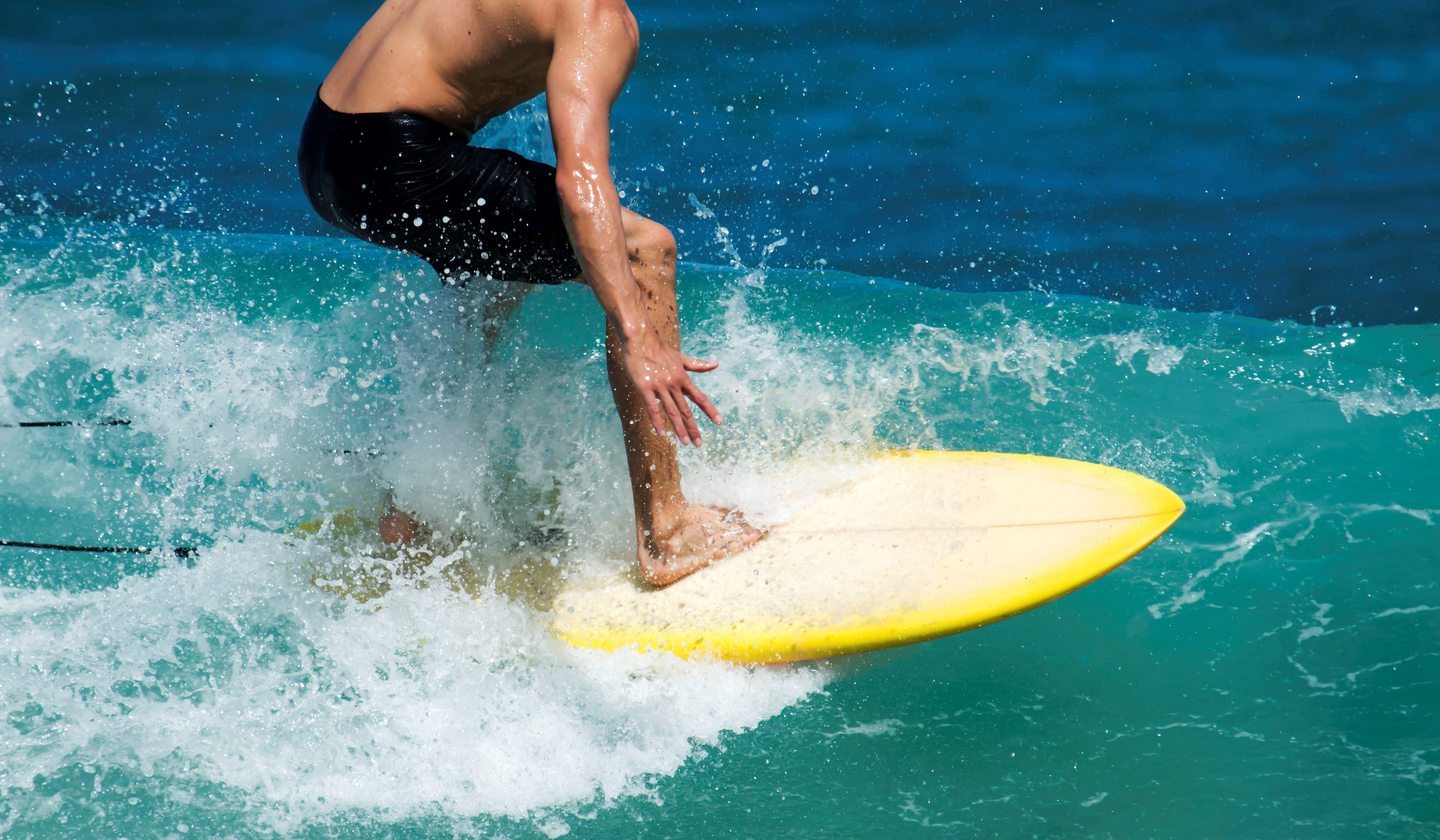 World's largest surfing park in Florida a step closer to reality - Vimarsana News