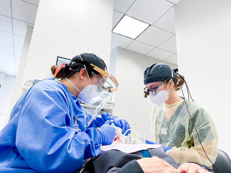 Local notes Humane Society offers free adoptions The Arkansas