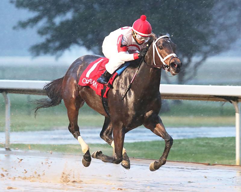 Coach, with jockey Ricardo Santana Jr. aboard, takes a three-length victory in the $150,000 Pippin Stakes on Jan. 8. Coach is among the seven-horse field for the Grade 3 $250,000 Bayakoa Stakes, which has been rescheduled for Feb. 12 after this weekend's racing was canceled due to inclement weather. - Submitted photo courtesy of Coady Photography