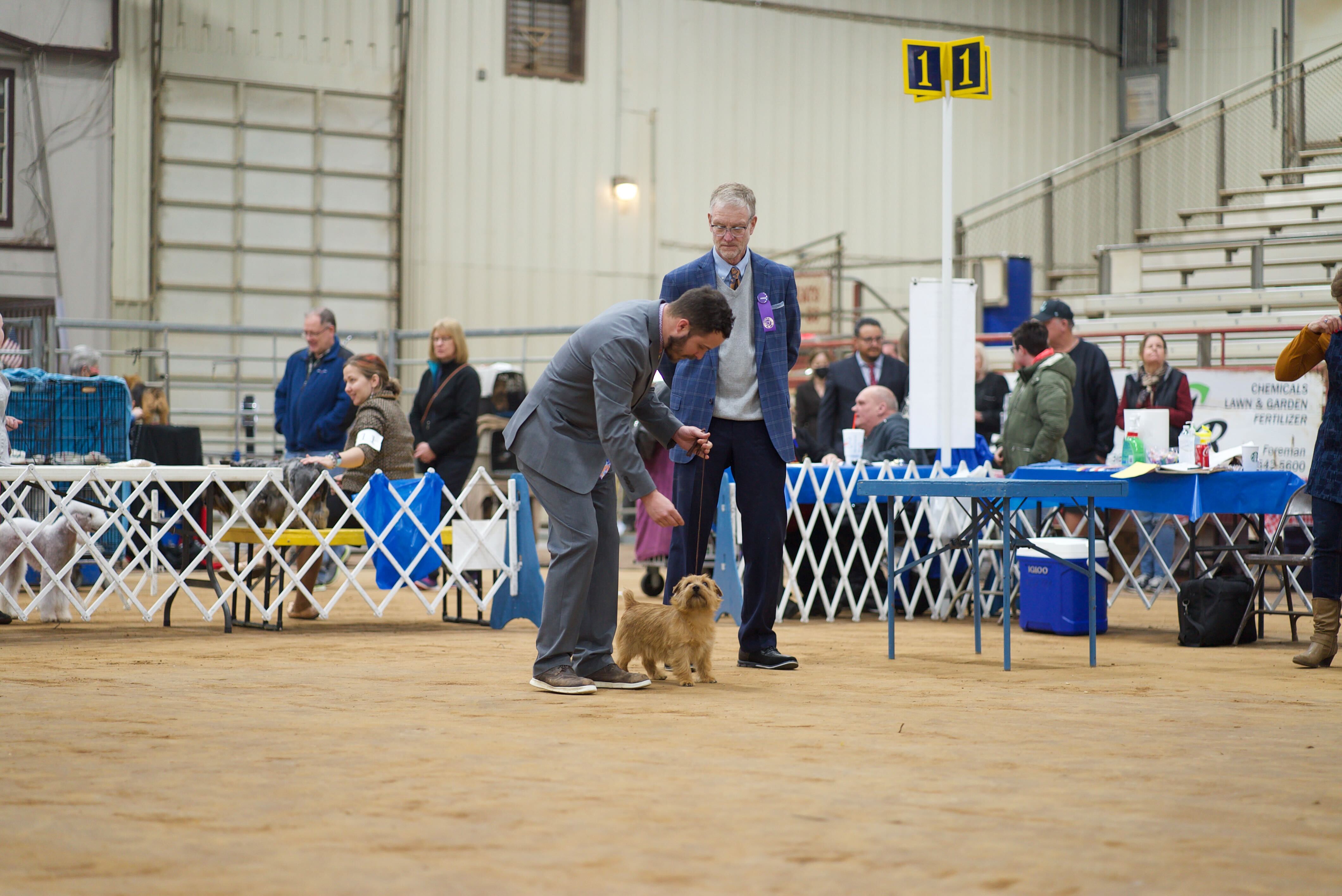 American Kennel Club Dog Show in Texarkana worth howling about