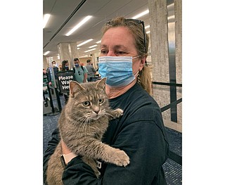 Snowbird kitty: Lost cat heads home to Maine -- from Florida | Camden News