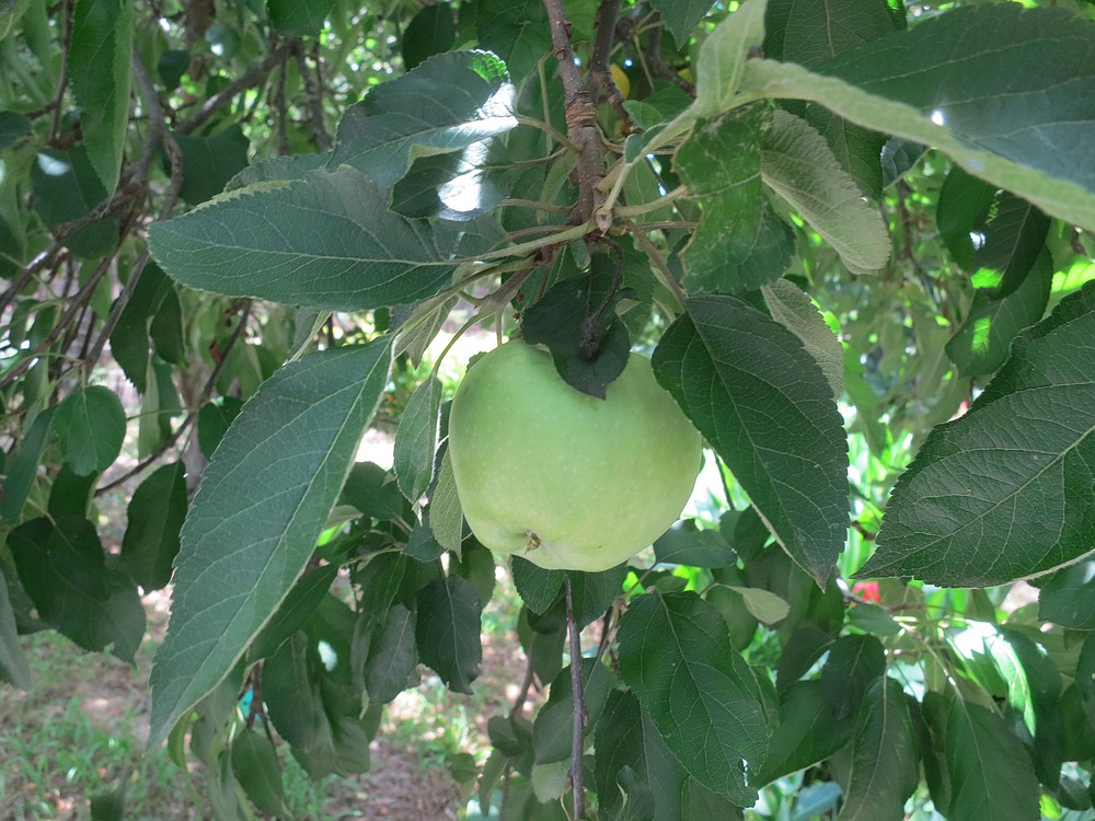 Photo detail