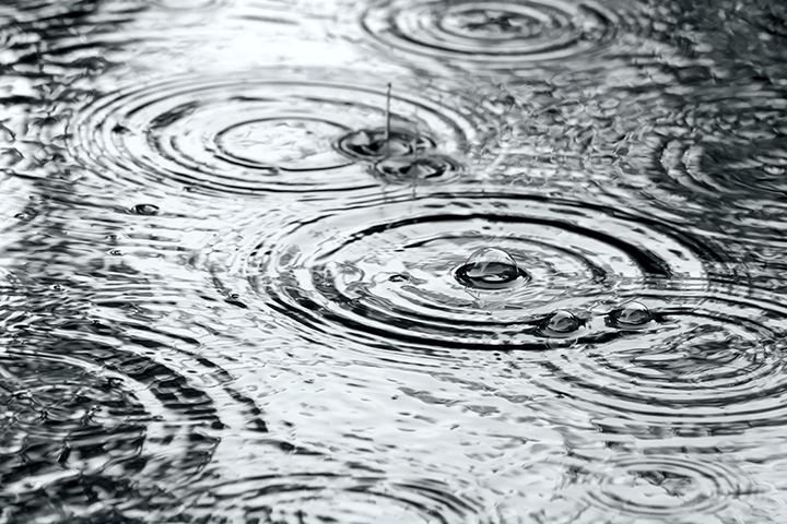 Forecast says you should wake up to storms - Vimarsana News