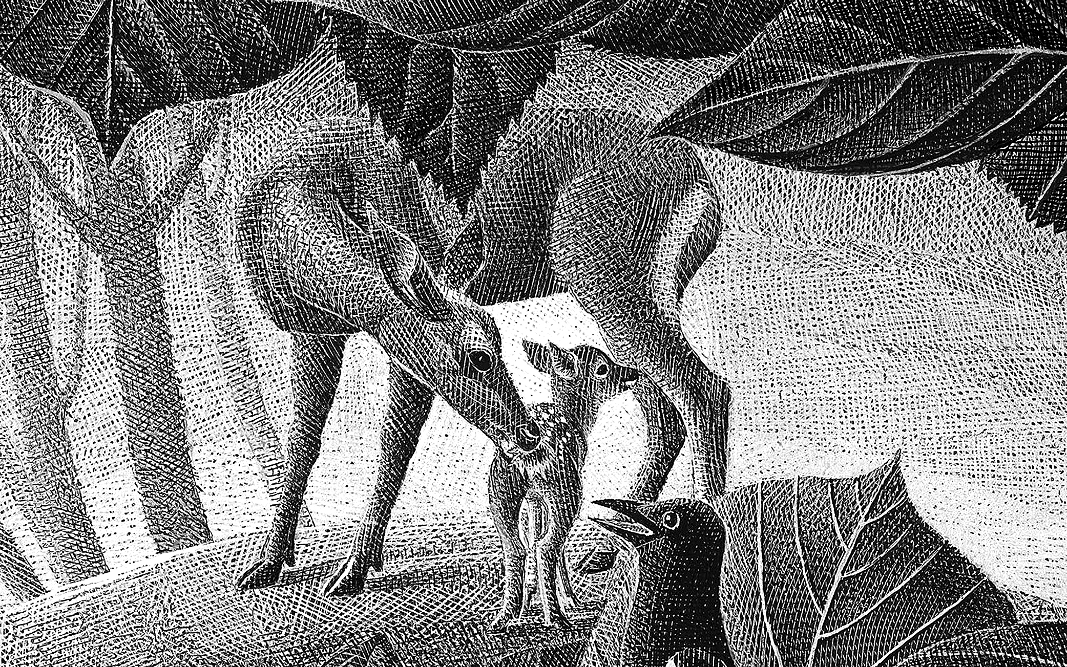Original 'Bambi' was not a children's story, says a Minnesota folklore expert - Vimarsana News