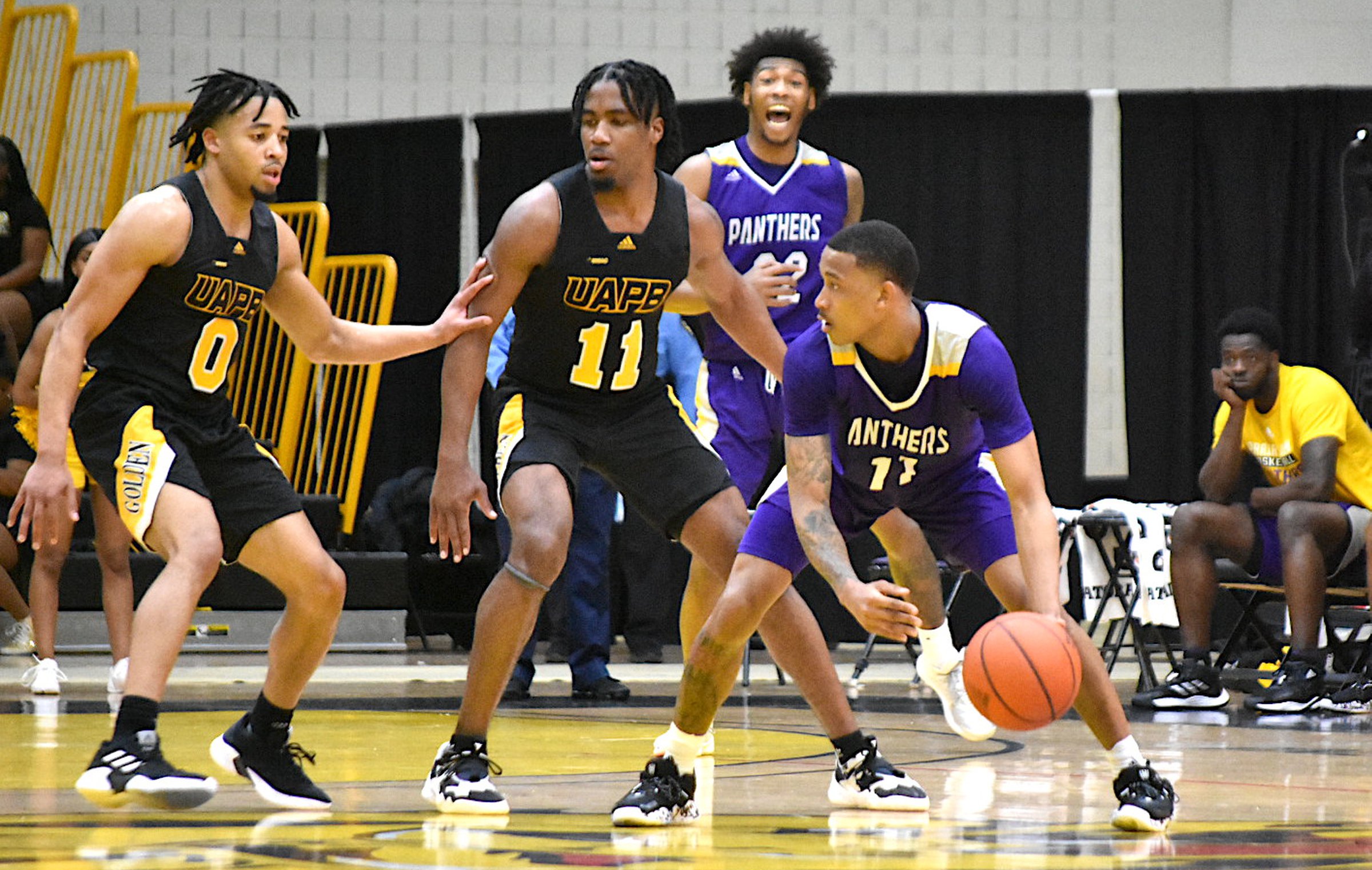 Golden Lions comeback falls short