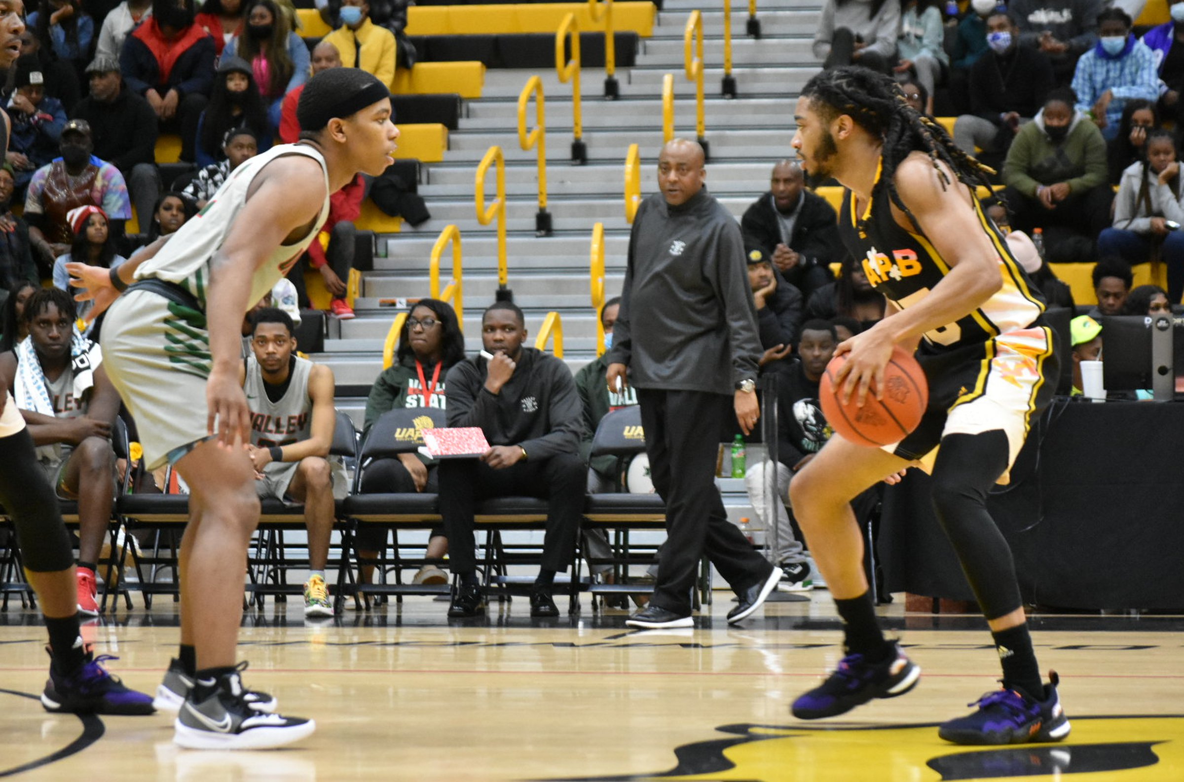 Golden Lions spoil Ivory’s return