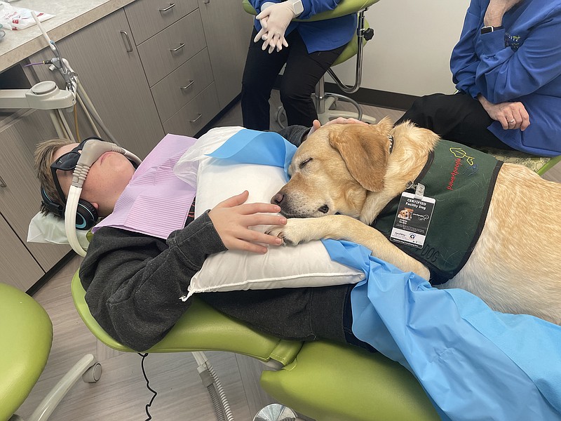 A dog day at the dentist’s North Carolina regulates pups in dentistry
