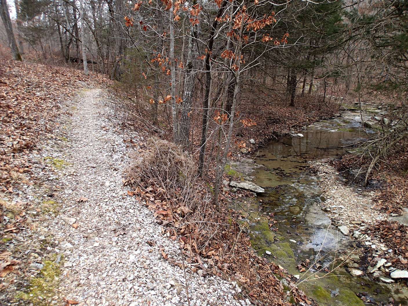 Big Sugar Creek State Park adds up to a fine hiking treat | The