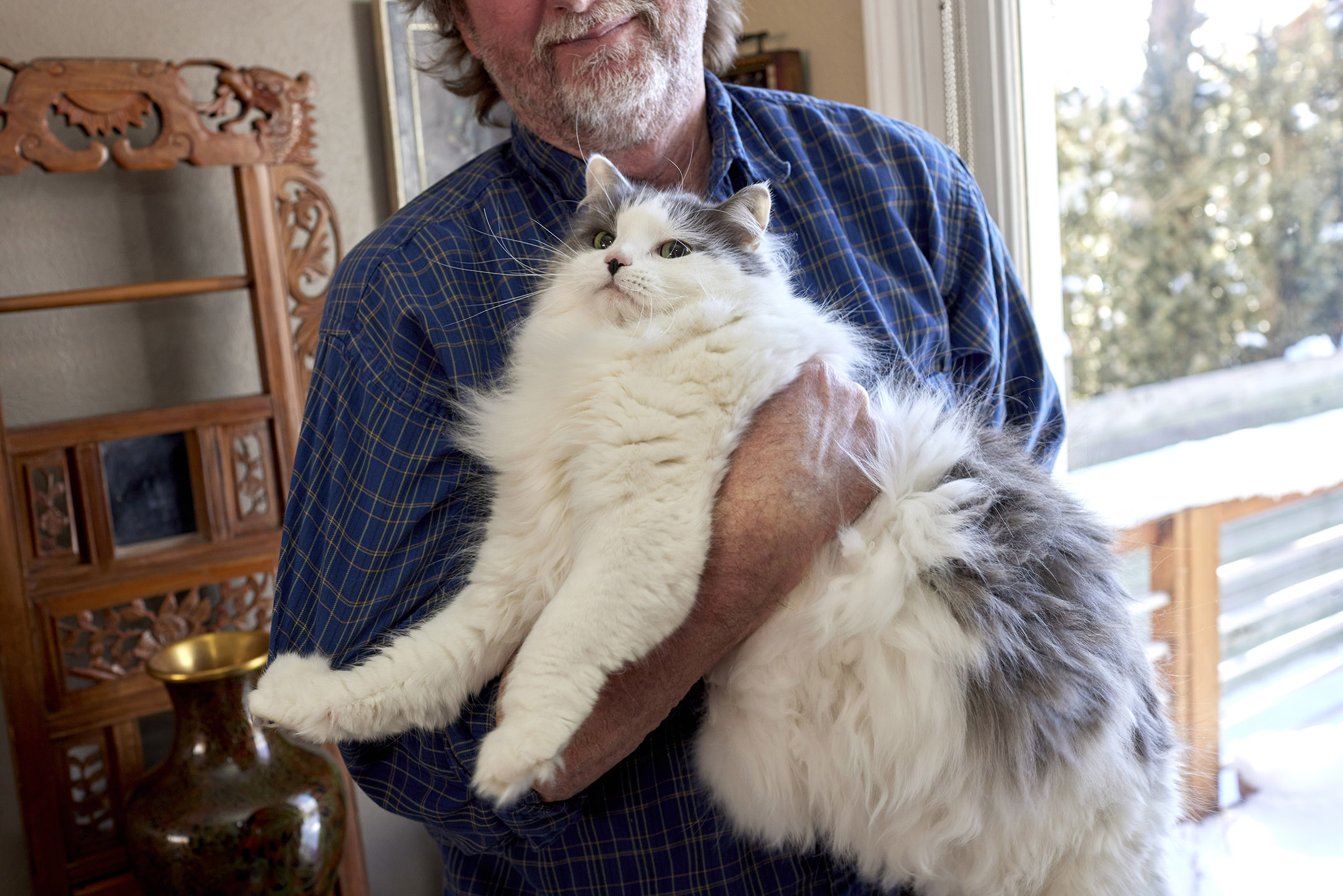 Pandemic puts load on pets - Vimarsana News