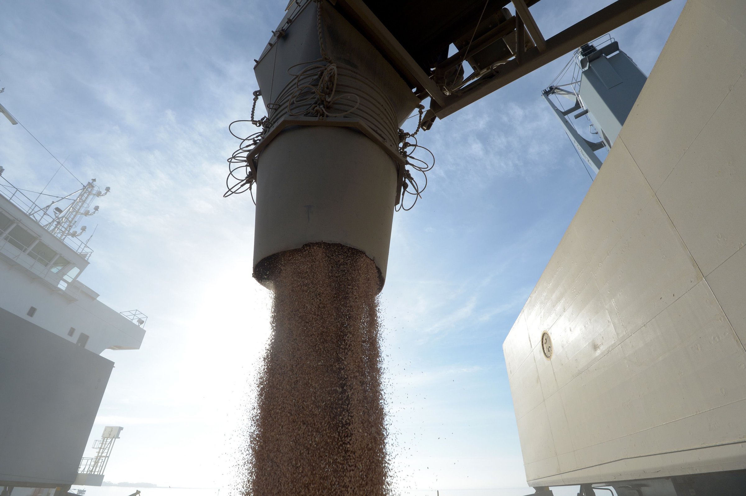 Shocks sock market as wheat swings - Vimarsana News