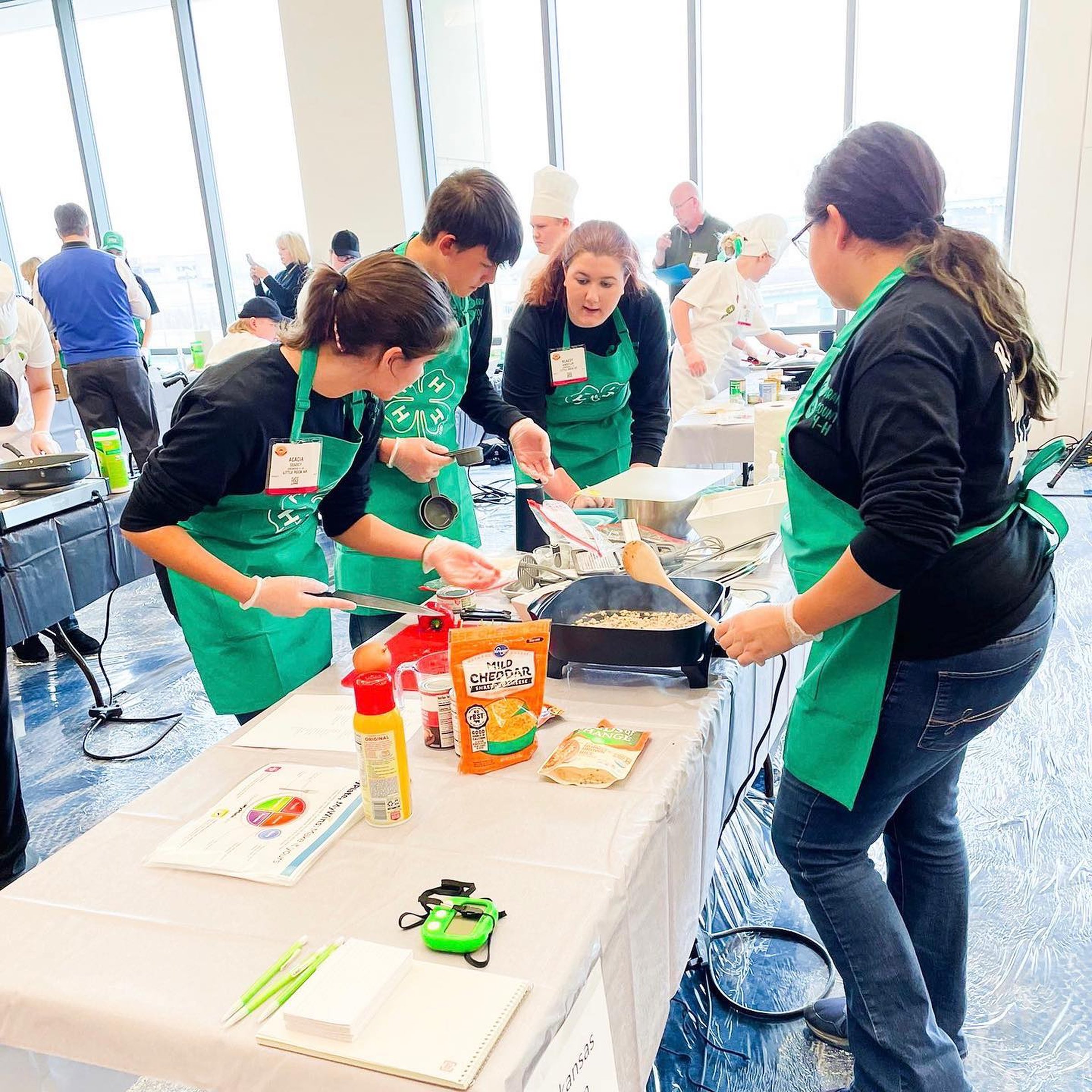 Area groups place at 4-H contest