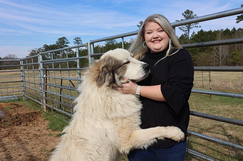 Rayvin Callaway cuddles a University of Arkansas at Monticello sheepdog during a feeding. Callaway was chosen for an internship with the Cooperative Extension Service. (Special to The Commercial/University of Arkansas at Monticello)