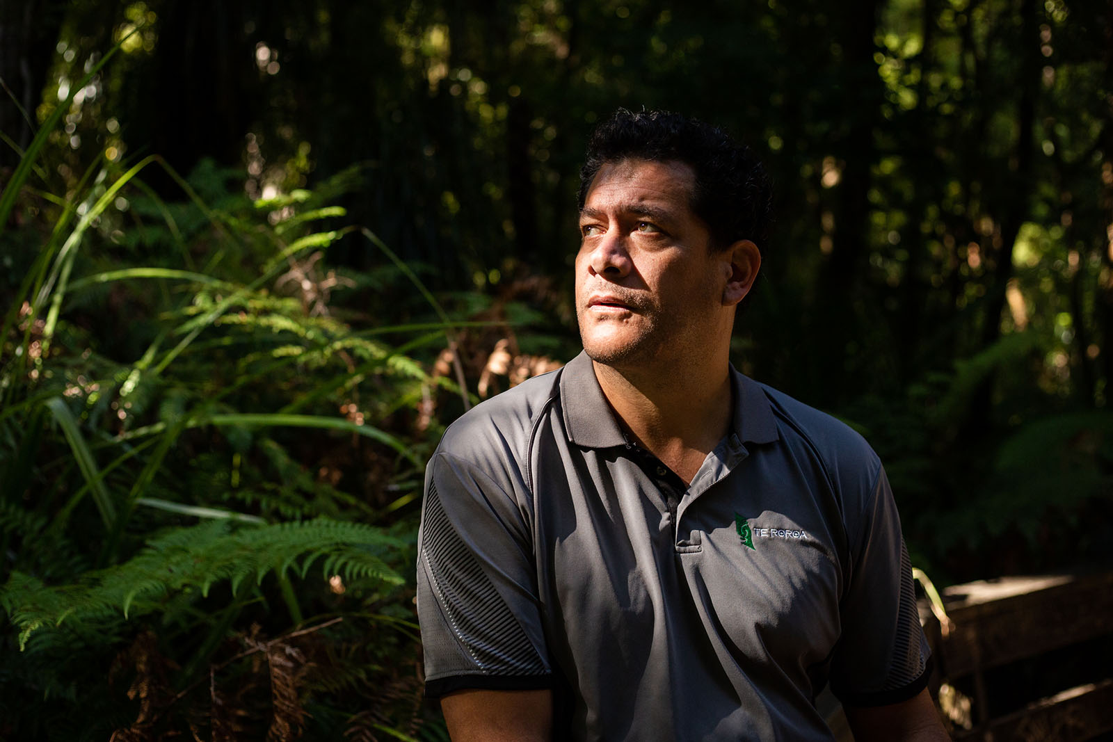 Maori step in to save sacred tree - Vimarsana News