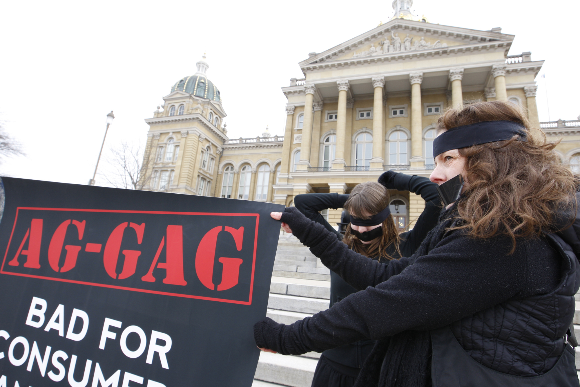 Court strikes down Iowa ag-gag law - Vimarsana News