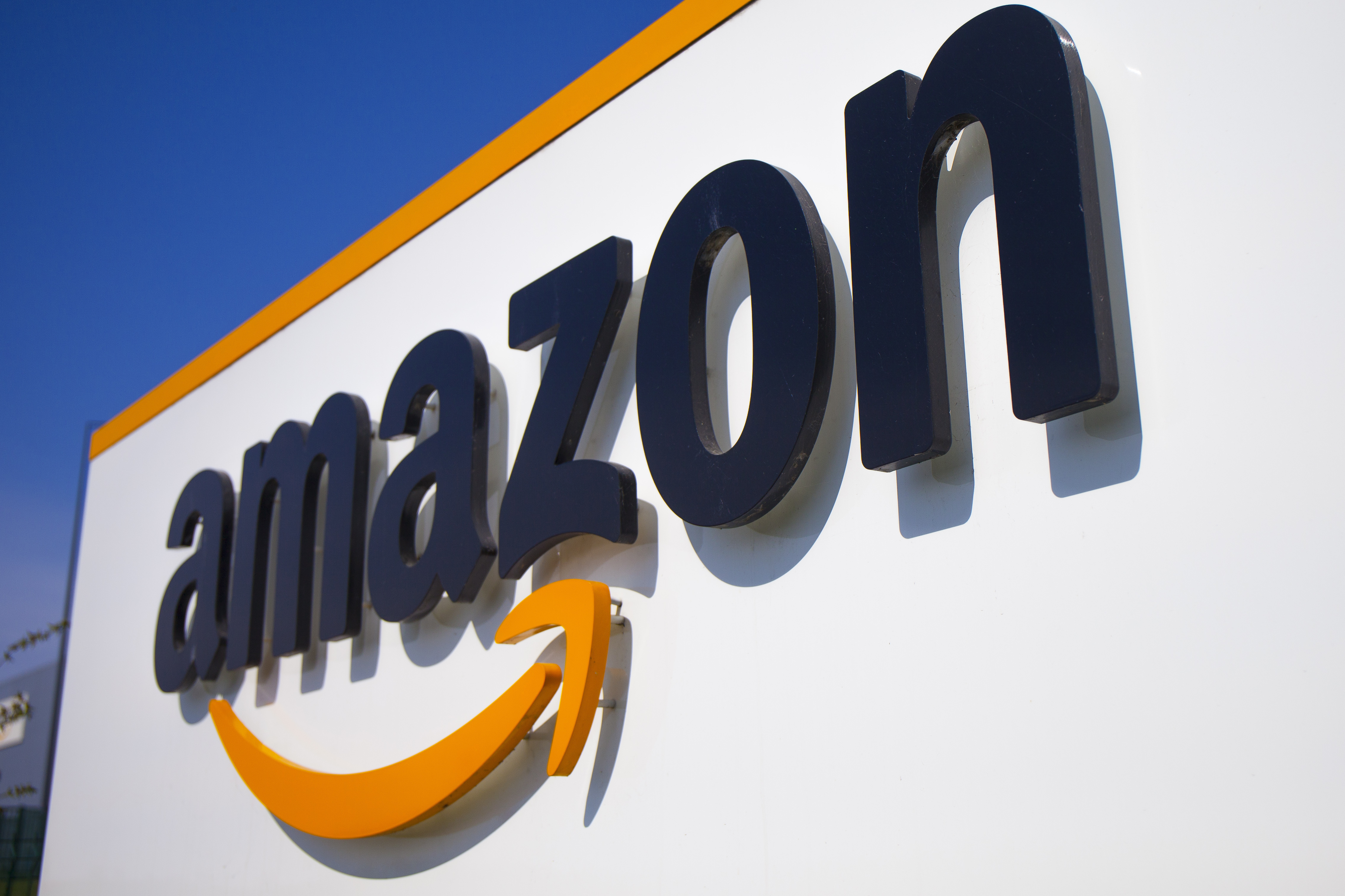 Labor board seeks reinstatement of fired Amazon covid protester - Vimarsana News