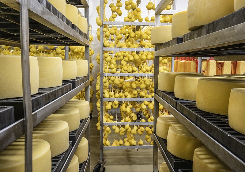 Cheese is a risky business, yet Washington state’s cheesemaking scene