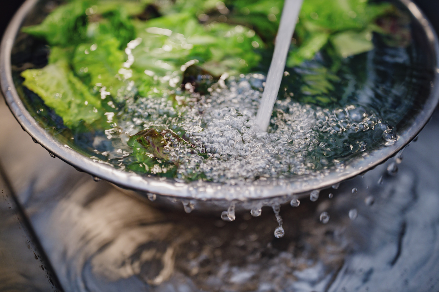Lettuce lessons: How a food writer's newsletter became a soapbox - Vimarsana News
