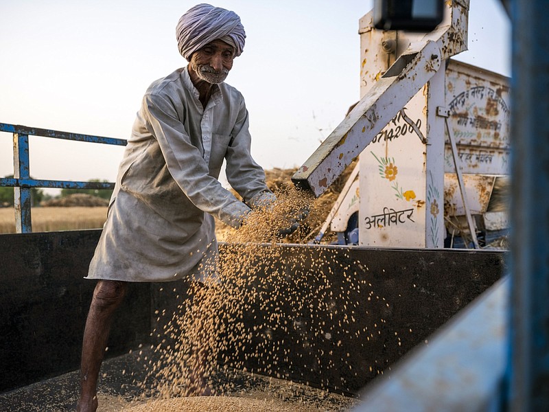 A farmhand observes a thresher while harvesting a wheat field in the Panipat district of Haryana, India, on April 11, 2021. MUST CREDIT: Bloomberg photo by Prashanth Vishwanathan.