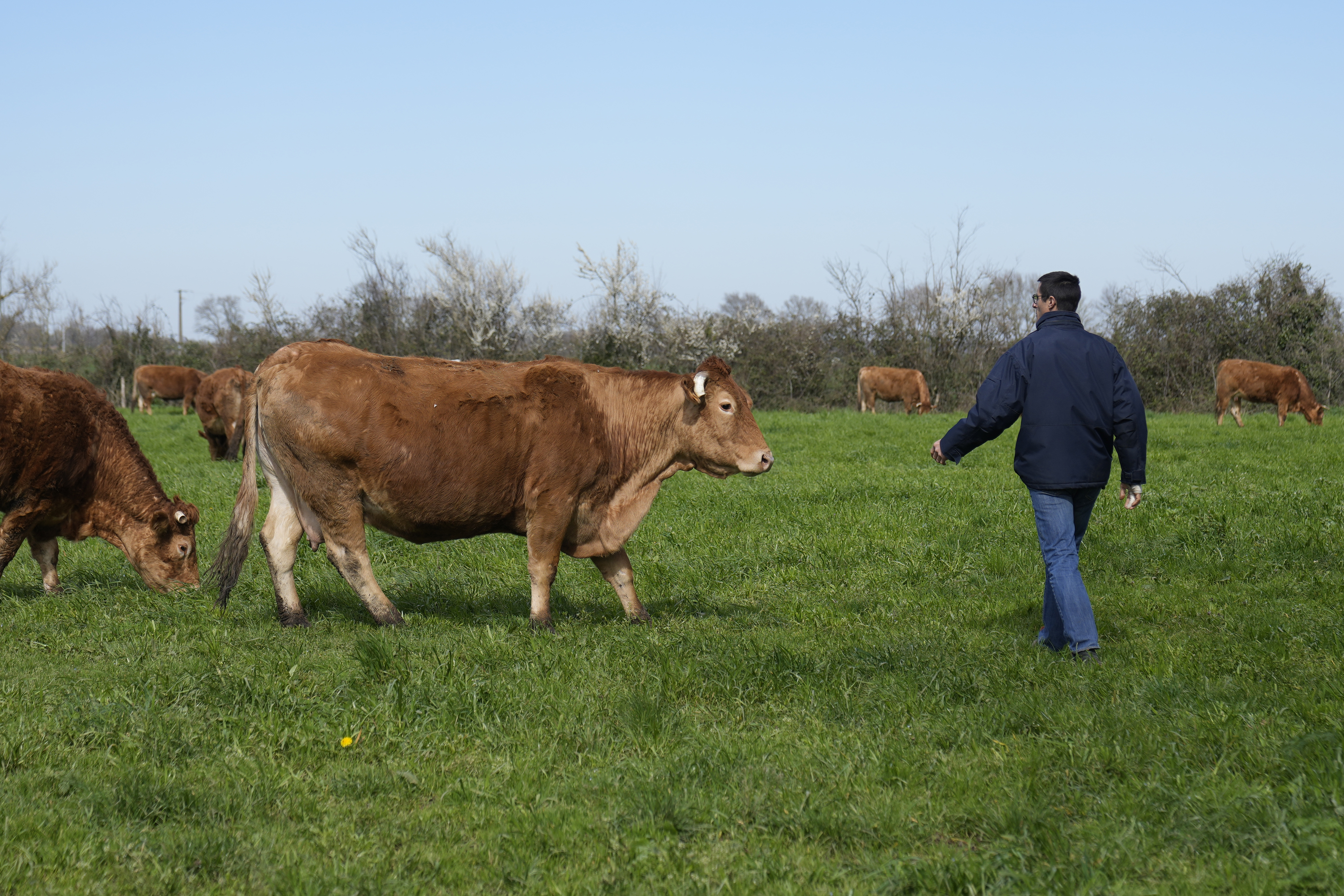 Ukraine war imperils wheat, but farmers in no rush to pivot - Vimarsana News