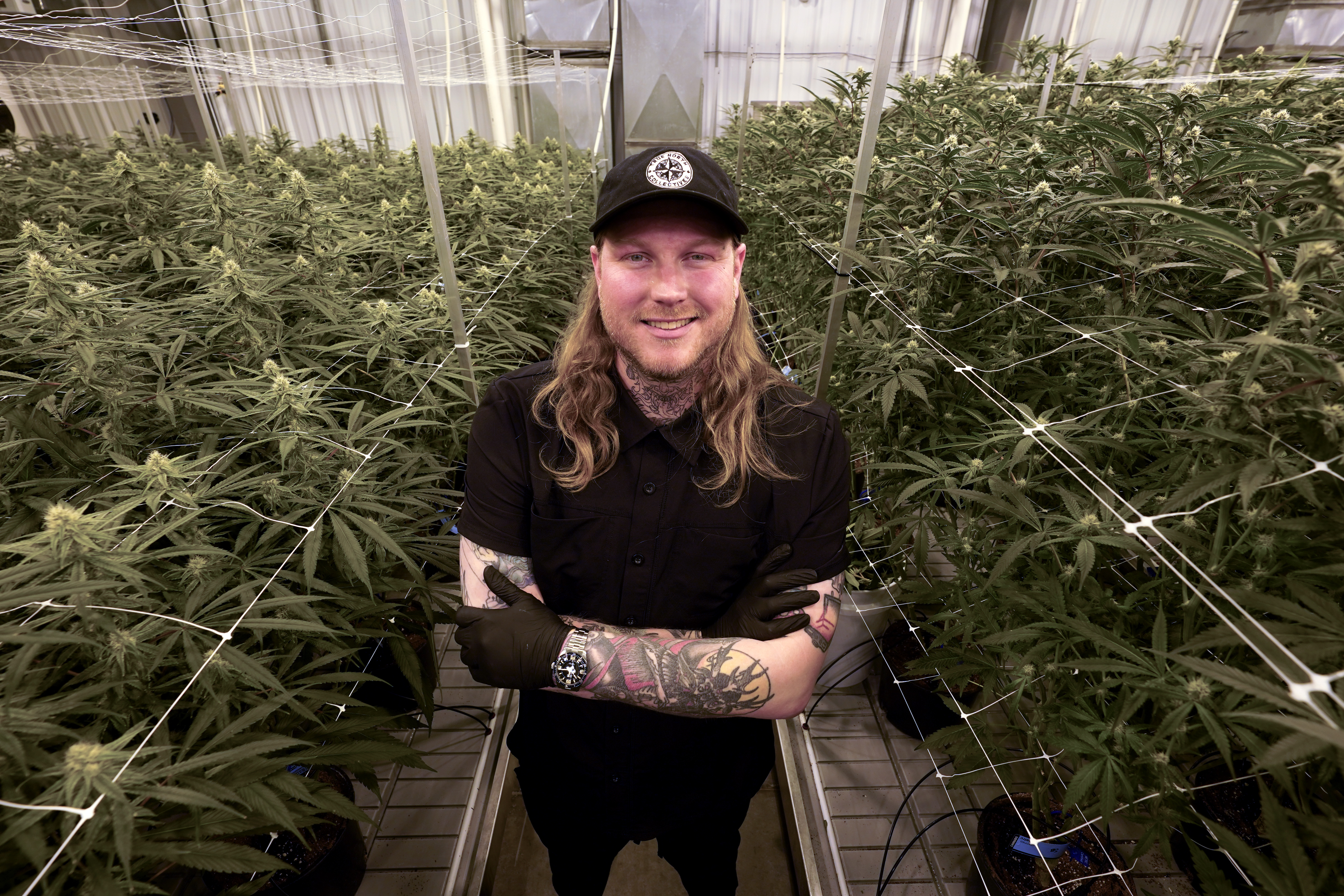 High from hemp: States wrestle with chemically made THC - Vimarsana News