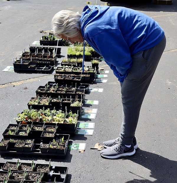 Runge hosts 17th annual native plant sale Jefferson City News Tribune