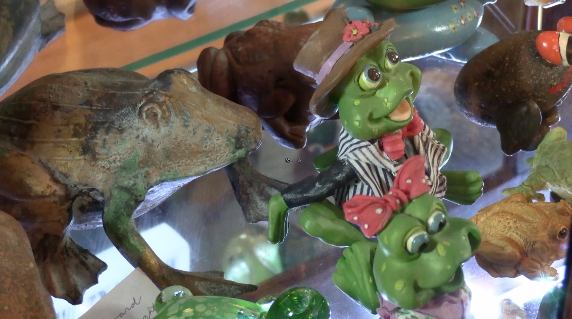 MY COOL COLLECTION: Frog collection keeps local woman hopping