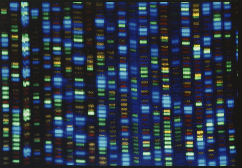 Scientists Finally Finish Decoding Entire Human Genome