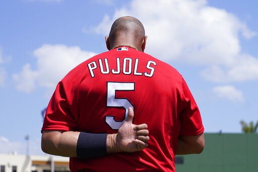 Buy Albert Pujols Signed St Louis Cardinals World Series Jersey & Online in  India 